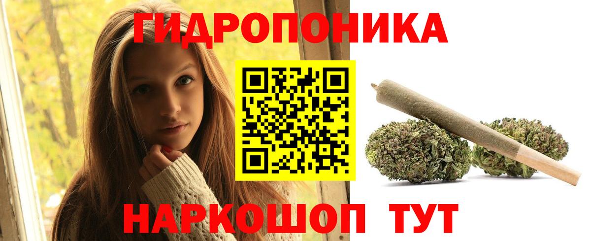 Каннабис Гатчина